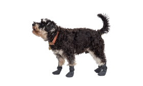 Neljä urheilu koiran sukkaparia harmaana, liukumattomilla pohjilla, kevyt koirien mukavuuteen, helppo puhdistaa materiaali.