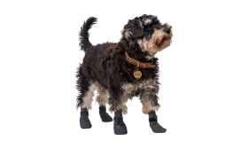 Neljä urheilu koiran sukkaparia harmaana, liukumattomilla pohjilla, kevyt koirien mukavuuteen, liukumaton kumi.