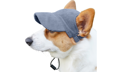 Corgi vaaleansinisessä hengittävässä koiran urheiluhatussa, kevyt, suojaa auringolta kesäretkillä.