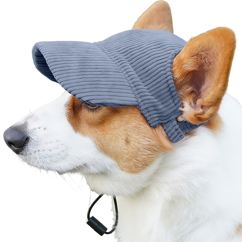 Hengittävä Koiran Urheiluhattu Kesäksi Corgi vaaleansinisessä hengittävässä koiran urheiluhatussa, kevyt, suojaa auringolta kesäretkillä.