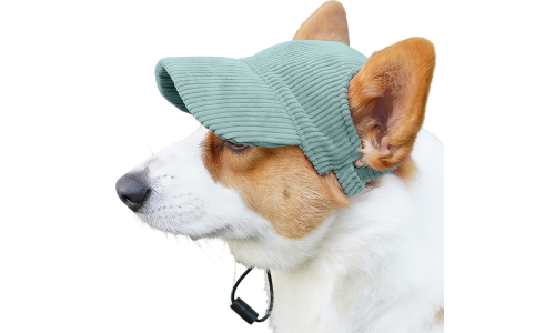 Corgi vihreässä hengittävässä koiran urheiluhatussa, kevyt, suojaa auringolta kesäretkillä.