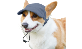 Hengittävä Koiran Urheiluhattu Kesäksi Corgi vaaleansinisessä hengittävässä koiran urheiluhatussa, tyylikäs, pehmeä ja kevyt kangasmateriaali mukavuuteen.