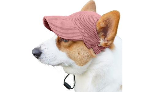Corgi vaaleanpunaisessa hengittävässä koiran urheiluhatussa, kevyt, suojaa auringolta kesäretkillä.