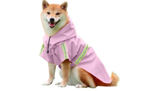 Shiba Inu vaaleanpunaisessa vedenpitävässä sadetakissa, heijastinteipit, helppo pukea ja riisua, sateenkävelyihin.