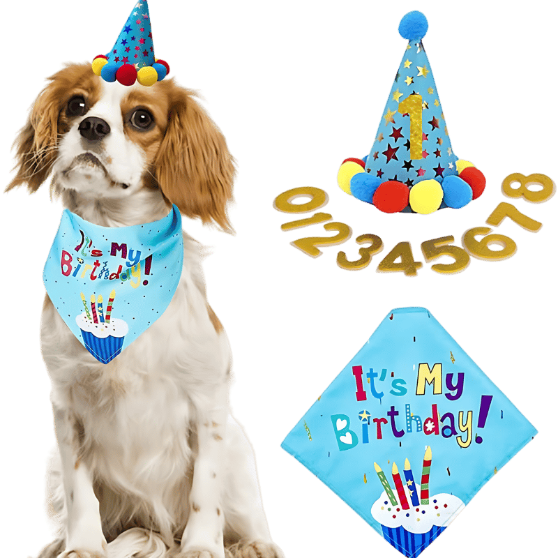 Koiran Syntymäpäivähuivisetti Sininen koiran syntymäpäiväjuhla-setti, jossa värikäs 'It's My Birthday!' huivi, pehmeä ja kestävä.