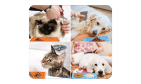 Myrkytön Nuolemismatto Lastalla Koirille Myrkytön Nuolemismatto Lastalla Koirille