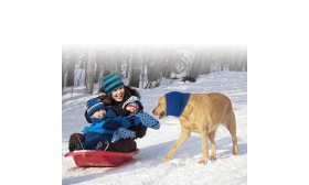 Ahdistusta Helpottava Tuubihuivi Koirille Suojaamaan Korvia Melulta ja Talvella Ahdistusta Helpottava Tuubihuivi Koirille Suojaamaan Korvia Melulta ja Talvella