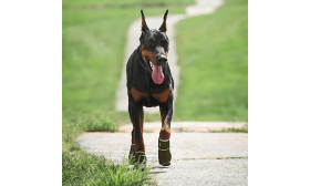 360° Heijastavat Turvalliset Koirankengät – Vedenkestävät & Liukuestopohjaiset Tassusuojat 360° Heijastavat Turvalliset Koirankengät – Vedenkestävät & Liukuestopohjaiset Tassusuojat