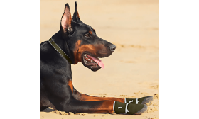 360° Heijastavat Turvalliset Koirankengät – Vedenkestävät & Liukuestopohjaiset Tassusuojat 360° Heijastavat Turvalliset Koirankengät – Vedenkestävät & Liukuestopohjaiset Tassusuojat