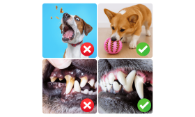 Interaktiivinen Koiran Namipallo – Kuminen Aktivointilelu ja Purulelu