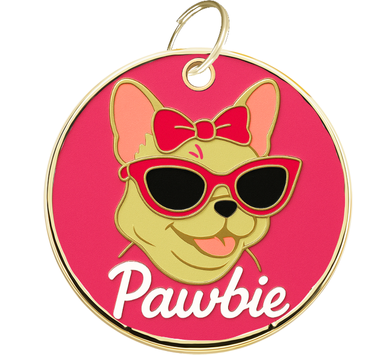 Kaiverrettu Pawbie nimilaatta