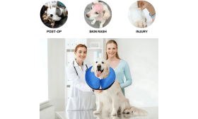 Puhallettava Koiranpanta - Säädettävä Lemmikkieläinten Palautuspanta Puhallettava Koiranpanta - Säädettävä Lemmikkieläinten Palautuspanta