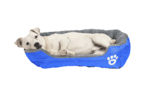 Pehmeä Koiran Peti Pehmeä Koiran Peti