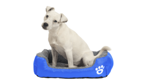 Pehmeä Koiran Peti Pehmeä Koiran Peti