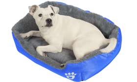 Pehmeä Koiran Peti Pehmeä Koiran Peti