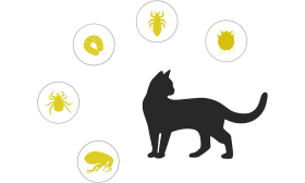 Punkki- ja kirppukaulus kissalle Luonnollinen punkkipanta kissoille, kohdennettu suoja kirppuja, punkkeja, toukkia, täitä ja hyttysiä vastaan.