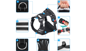 Pieni no pull valjas, jossa heijastavat ompeleet ja hengittävä verkko. Loistava lisä nimilaatta koiralle.