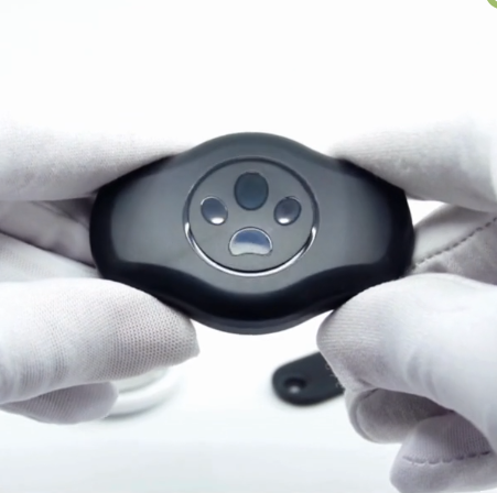 AirTag-suojapeite Koiran Kaulapannalle